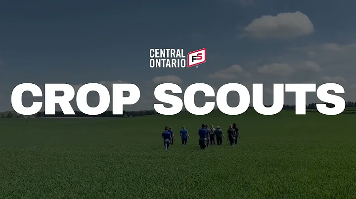 FS Crop Scout Promo Video