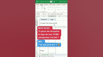 Récupère le logo de toutes les entreprises avec cette formule 🤩 | Astuce Excel