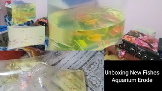 Unboxing New Fishes Aquarium Erode