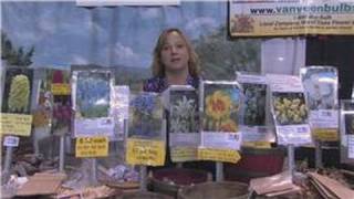 Flower Garden Tips : How to Identify Flowers by Characteristics