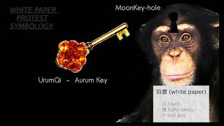 White Paper Pr0Test In Ch1Na Deep Symbology Analysis