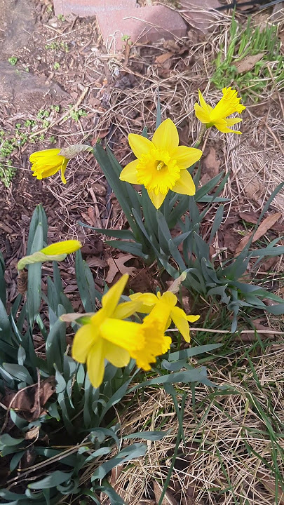 What, Spring?