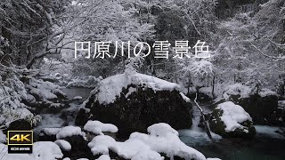 4K映像 + 自然環境音　1月24日 大雪注意報が出ていた円原　美しき雪景色