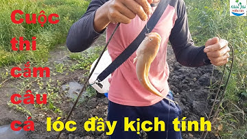 272 | Cuộc thi cắm câu cá lóc của nhóm KPMT P2 | Fishing