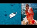 Spearfishing The Great Barrier Reef off the Whitsundays (Sailing Popao) Ep.52