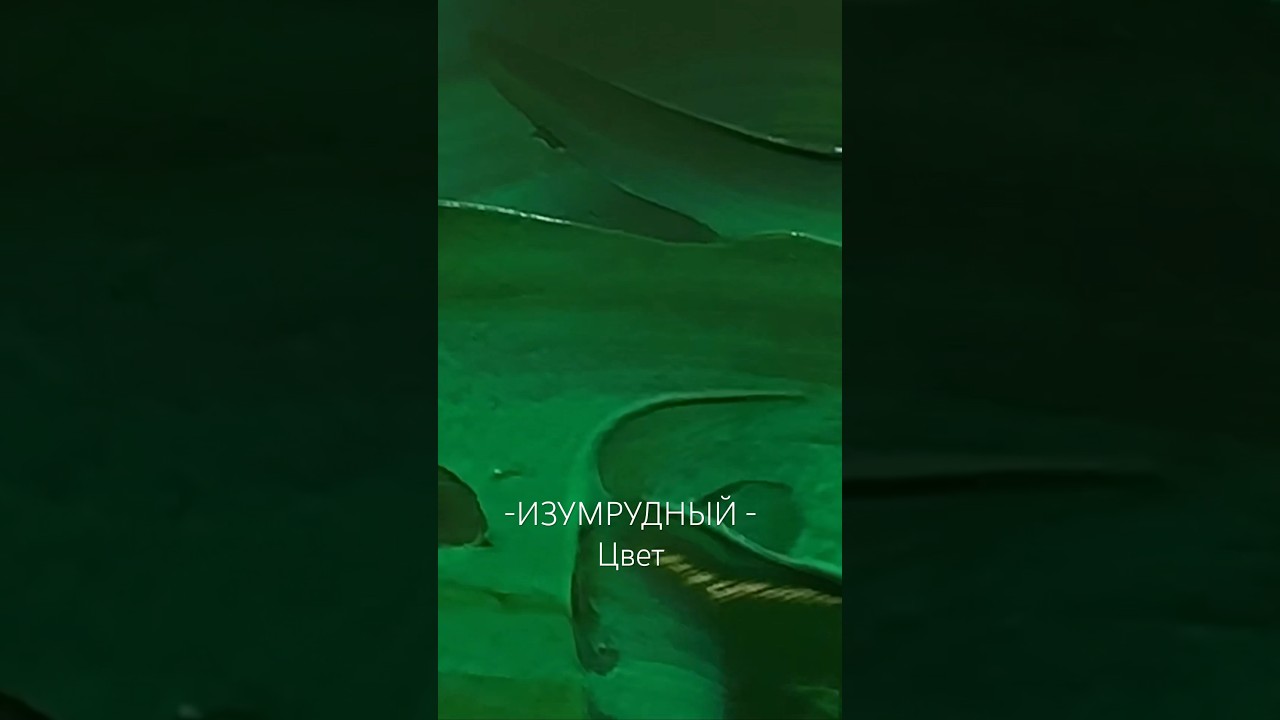 ЦВЕТ ИЗОБИЛИЯ 