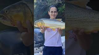 Con El Mejor Guía De Pesca De Bella Vista Corrientes Jose Pescado