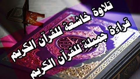 قراءة طيبة لماتيسر من سورة القصص للقاريء رضوان أبو سليمان