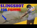 Home made slingshort for fishing 😱|1 min 100 fish 🐠🐠🐠🐟🐟