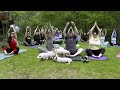 NoComment : yoga avec des chiots ? C&#39;est dépassé - place à yoga avec des porcelets !