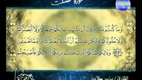 تلاوة مختارة سورة فصلت الشيخ ياسر سلامه