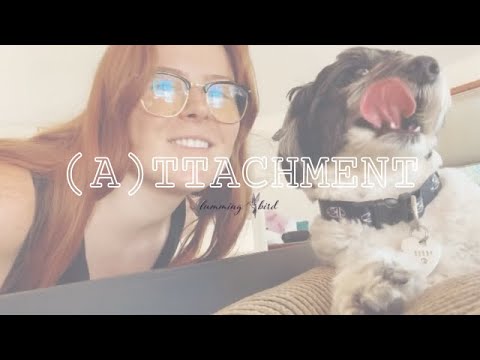 (A)ttachment