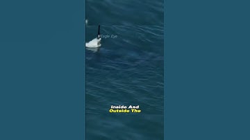 Do you know why Russian submarines have windows and American submarines do not. #documentary
