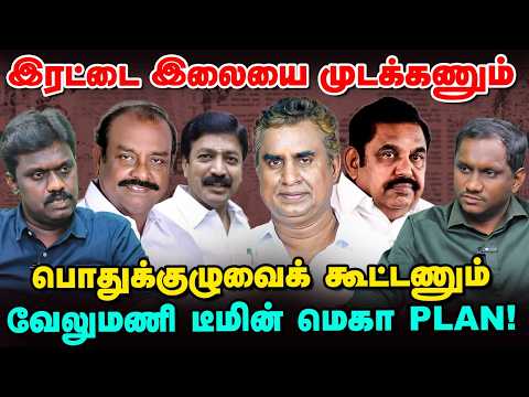 Will Edappadi Palaniswami form an alliance with TVK? | Political Lab