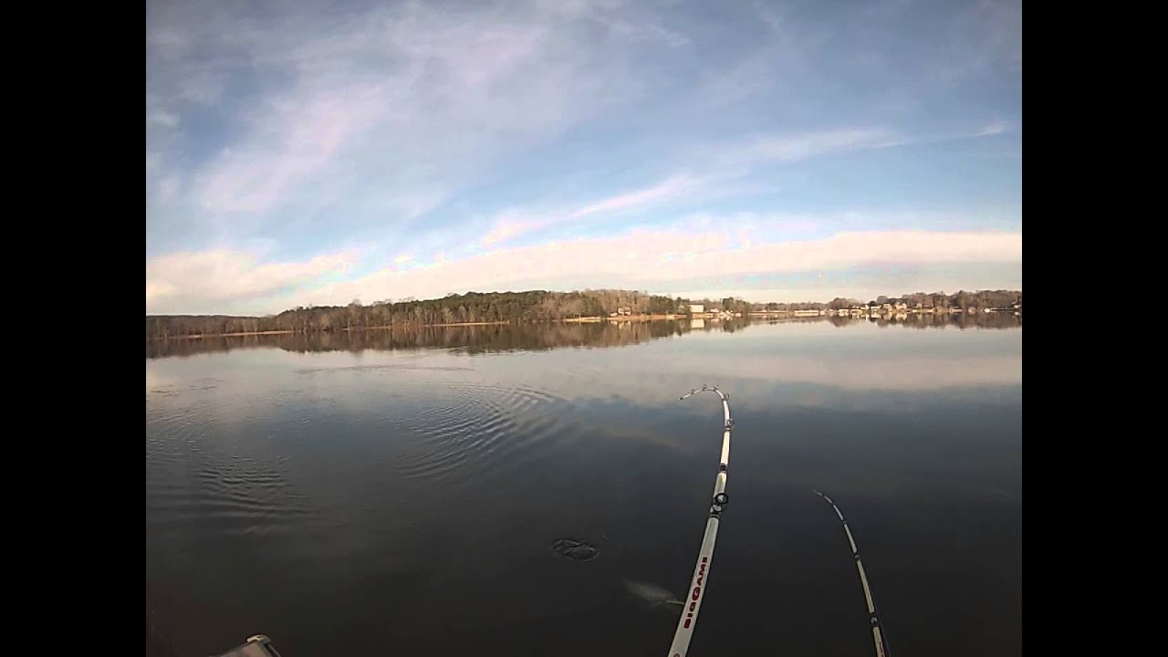 Lake Norman, Striper & Hybrid Dbl., December 11, 2014 YouTube