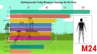 Battlegrounds Pubg Weapons Damage By Hit Area Data Visualisation V2