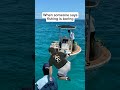 The Only Viable Option To Anyone Who Says This Fishingaddiction Markberg Funny Memes Fishing The Only Viable Option To Anyone Who Says This Fishingaddiction Markberg Funny Memes Fishing