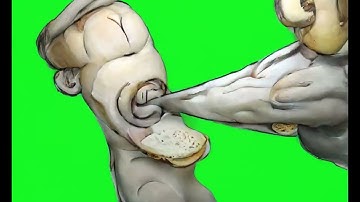 Organic Motion Prototype – Biomechanical Animation Study