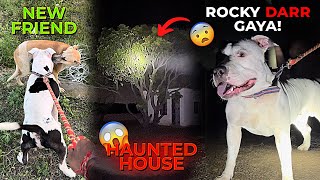 vlog-4 Aaj To Haunted place par chale gaye!🐶👻 || A day in life of my pitbull 🐶😍 ||