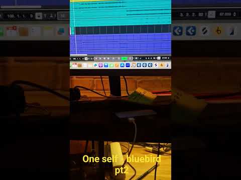 a break down of one self - bluebird bird pt2 #livehiphop #hiphopsoul #chillrap #soulrap #indierap