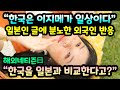 "한국은 일상일 뿐이다" 일본인이 올린 글에 외국인이 분노한 이유 // "한국이 똑같다고 생각해?" [해외반응]