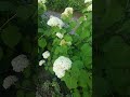 Доброго вечера ❤️🌸🌸🌸