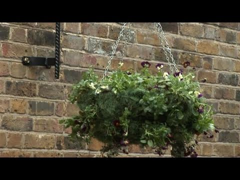 How To Create A Winter Hanging Basket