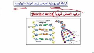 أحياء أولى ثانوي - أهمية الرابطة الهيدروجينية فى تركيب البروتينات والاحماض النووية