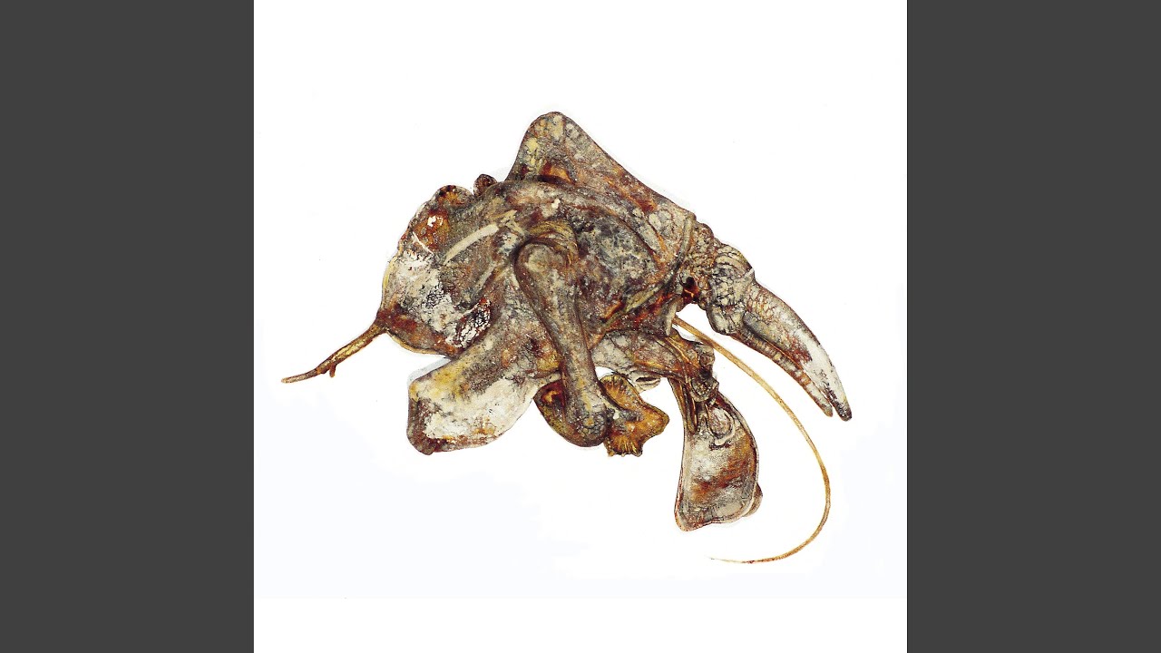 Watch E.D.P.M on YouTube Watch E.D.P.M on YouTube