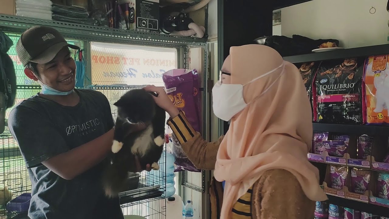 A DAY WITH CAT, GROOMING KUCING DI MINION PET SHOP CIPETE