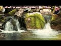 سورة آل عمران بصوت الشيخ ابوهاجر العراقي Surat Al Imran