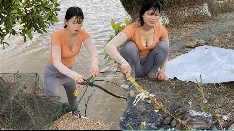 Đổ đú và nướng cá ăn cơm ngoài đồng cùng thanh #thanhgiangvlog