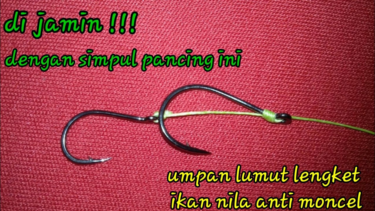 CARA MEMBUAT SIMPUL PANCING IKAN NILA UMPAN LUMUT - YouTube
