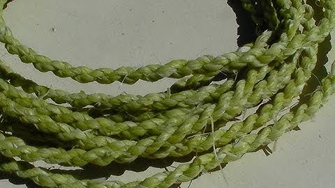 Making Primitive Yucca Rope (Bowstring) Using Twisted Cordage