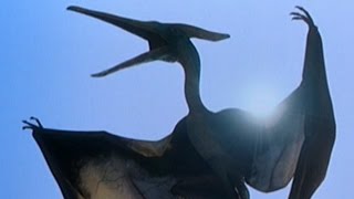 Dinosaurs Still Alive Today - 5 Prehistoric Creatures That Didn't Go Extinct Dinosaurs Still Alive Today - 5 Prehistoric Creatures That Didn't Go Extinct