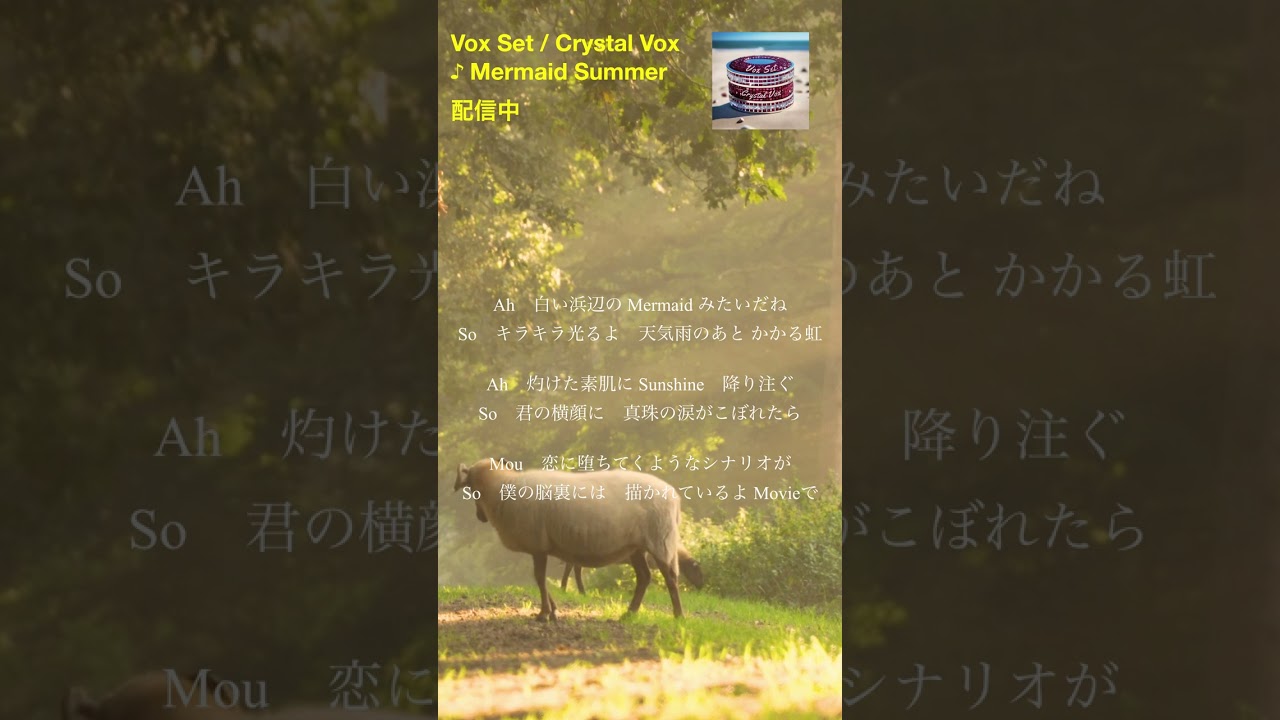 Crystal Vox Vox Set Mermaid Summer