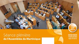 Séance Plénière du 25 Mars 2021 - Partie 2