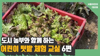 도시농부와 함께 하는 어린이 텃밭 체험 교실 6편 l 상추 수확하기, 감자북주기와 웃거름주기썸네일