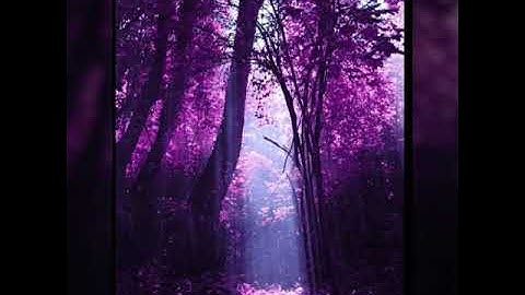 سوره القصص(بصوت القارىء احمد خضر )💜..صوت من الجنه💜💜🌸