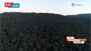 The Chamwada Report: Lessons From Loita Forest The Chamwada Report: Lessons From Loita Forest