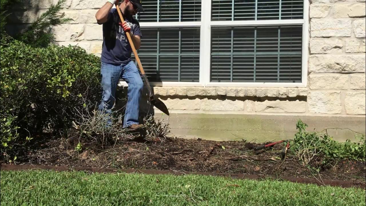 How To Remove Bushes & Shrubs Easily YouTube