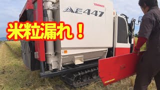 【会社員実家農業手伝う】2021タンク周辺から米粒が漏れていたので対処編AE447ヤンマーコンバイン