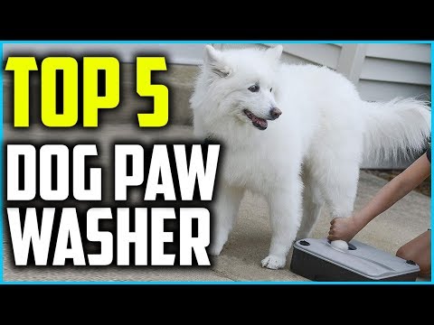top-5-best-dog-paw-washer-in-2020
