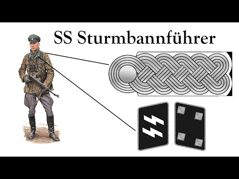Все звания Ваффен СС по порядку | Погоны и петлицы Waffen SS