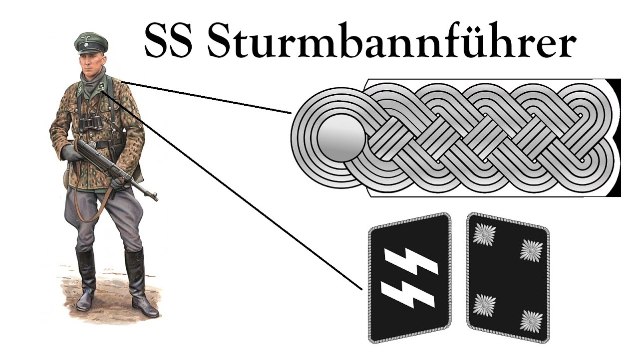 Ss ranks. SD Waffen SS форма. Звания в армии третьего рейха. Воинские звания войск СС Германии. Штандартенфюрер воинские звания СС.