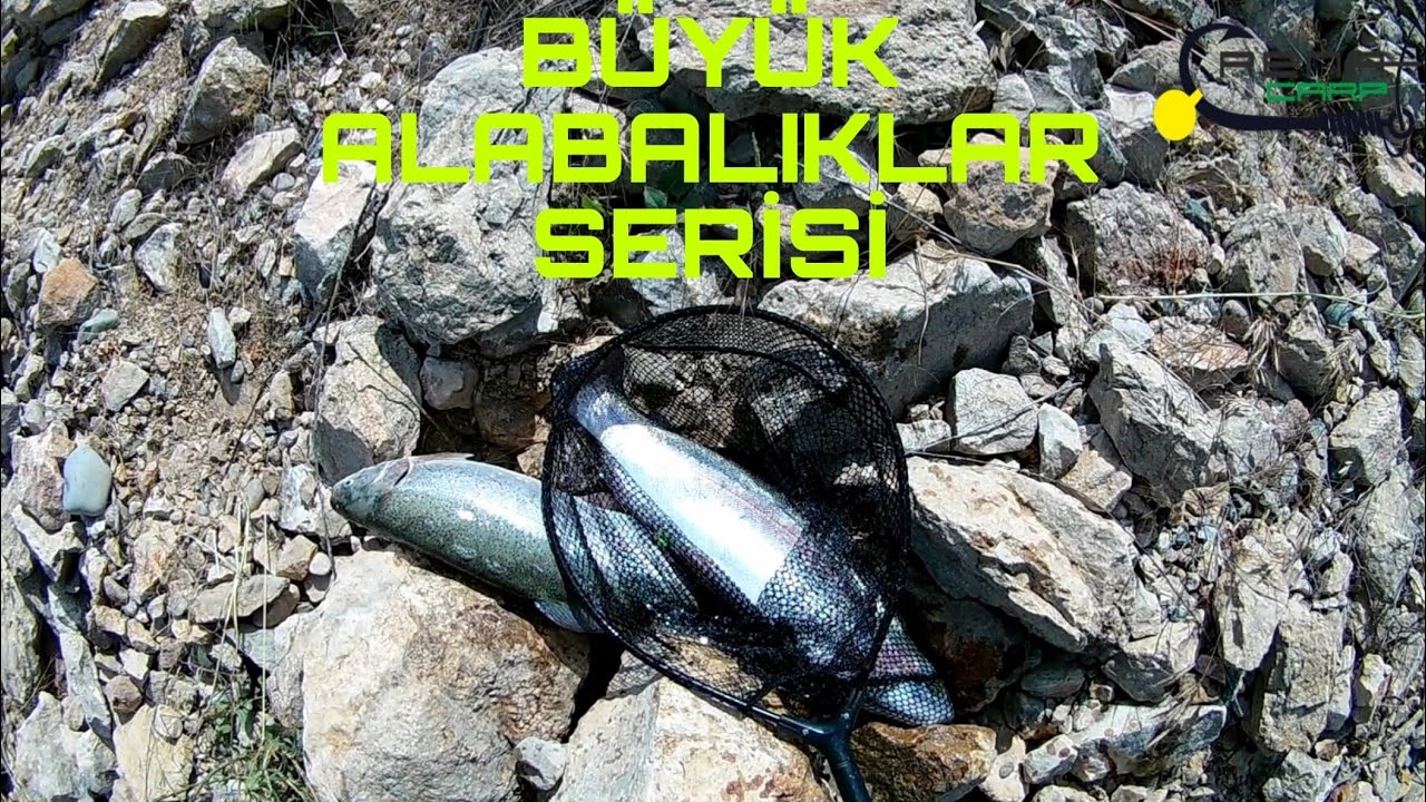 Yemli  Takim ile  Nasıl Çok Balık Alırsınız.