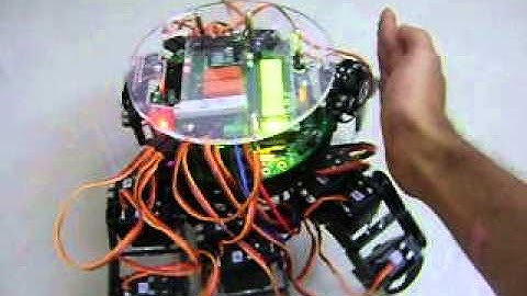 Fire-Bird V Hexapod robot