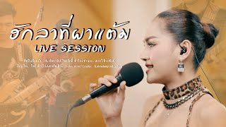 ฮักลาที่ผาแต้ม - บิว จิตรฉรีญา [ LIVE SESSION ] by บิว จิตรฉรีญา Singer 656,633 views 1 year ago 3 minutes, 47 seconds