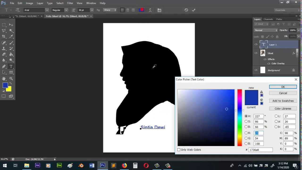 Cara Membuat Foto Siluet Menggunakan Aplikasi Adobe 