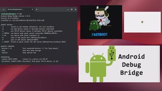 How to run ADB and fastboot commands on Chromebook#chromebook